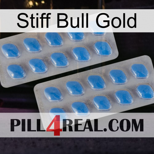 Stiff Bull Gold 23.jpg